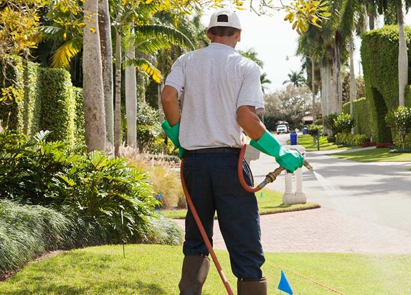 About Glennville GA Pest Control Pros